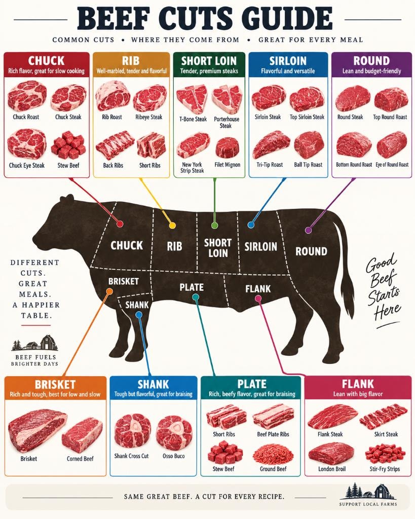 Beef cuts chart