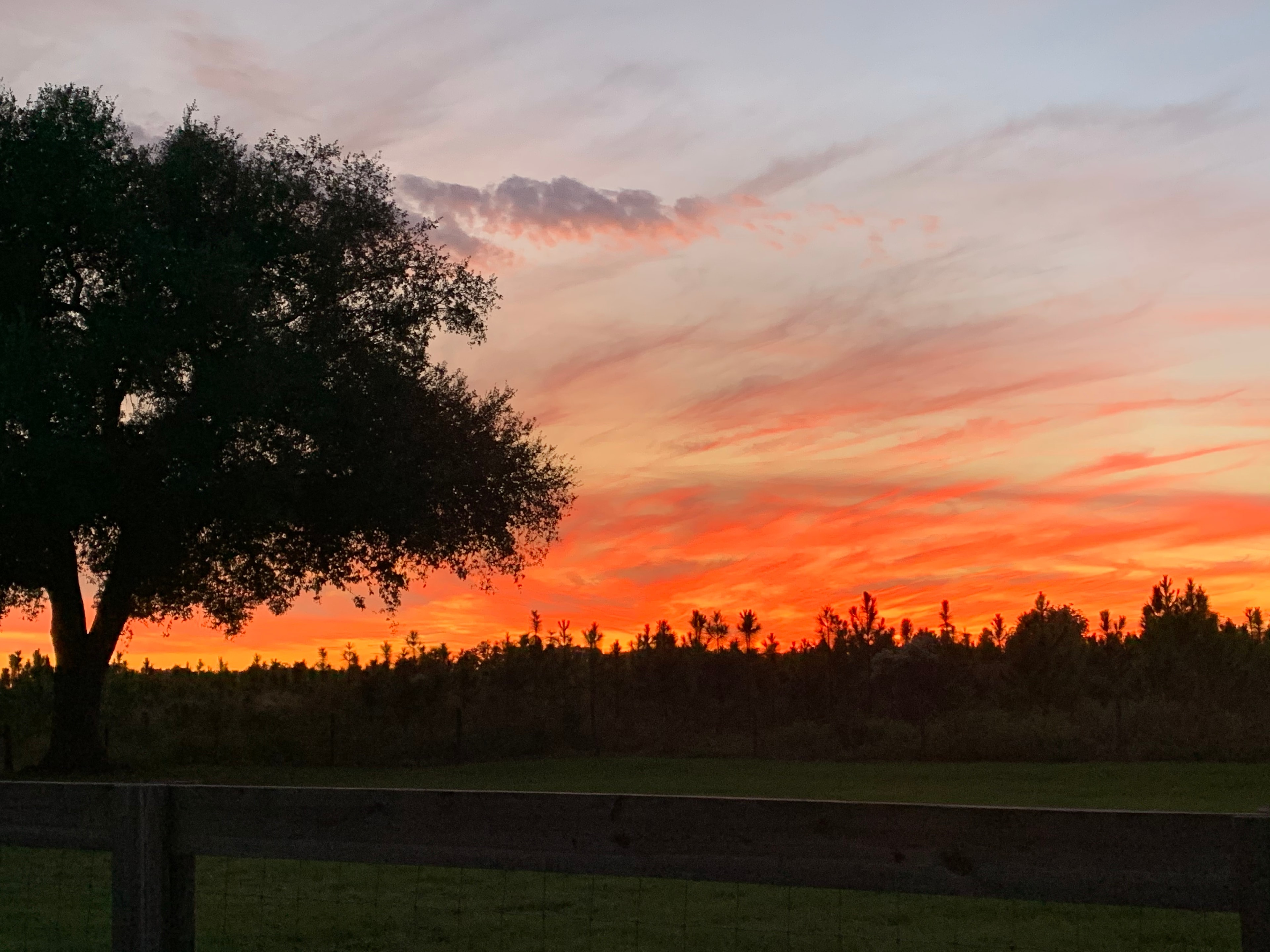 Brilliant orange and red sunset over the farm with tree silhouette