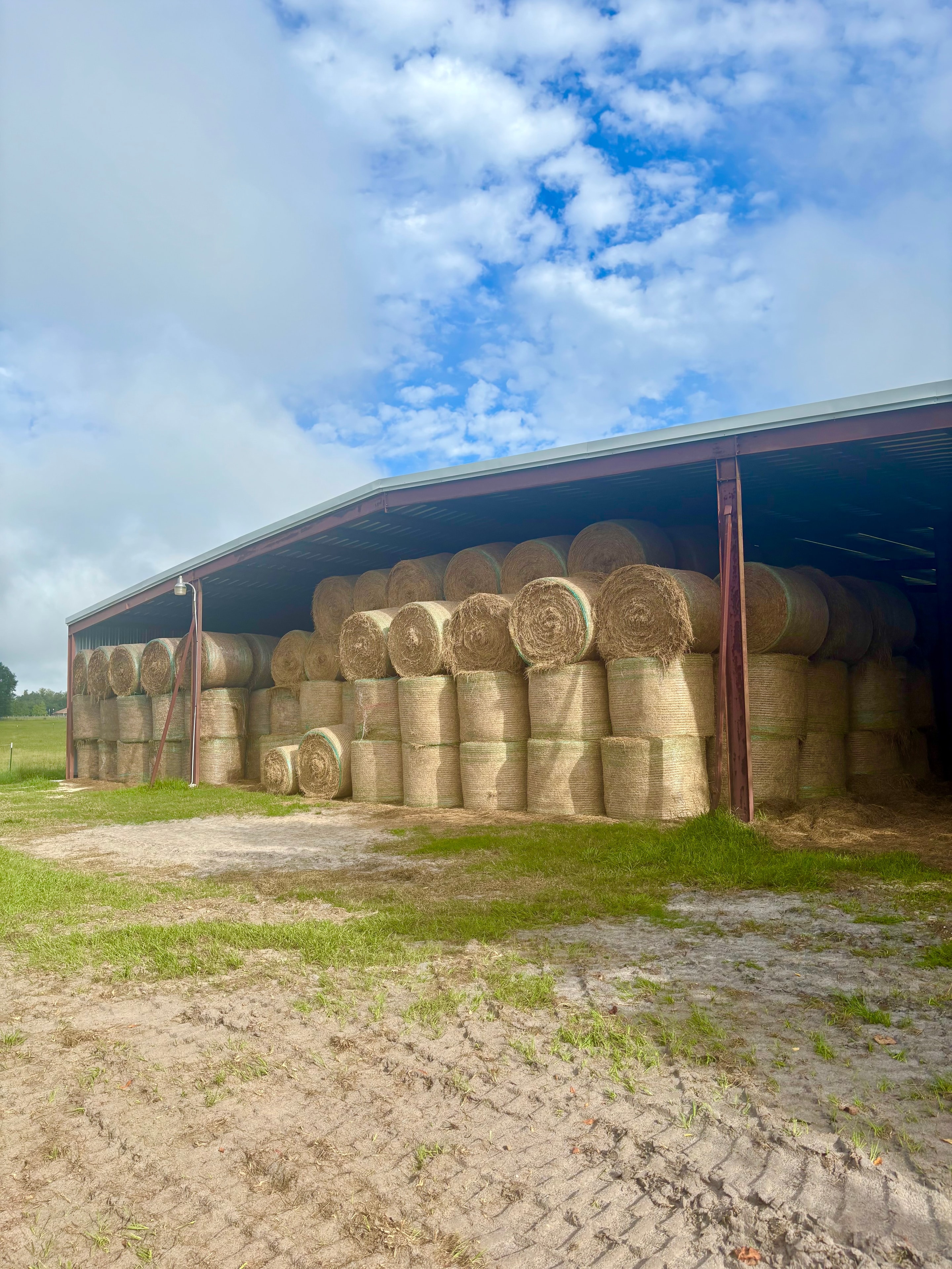 Round hay bales stacked in open metal barn