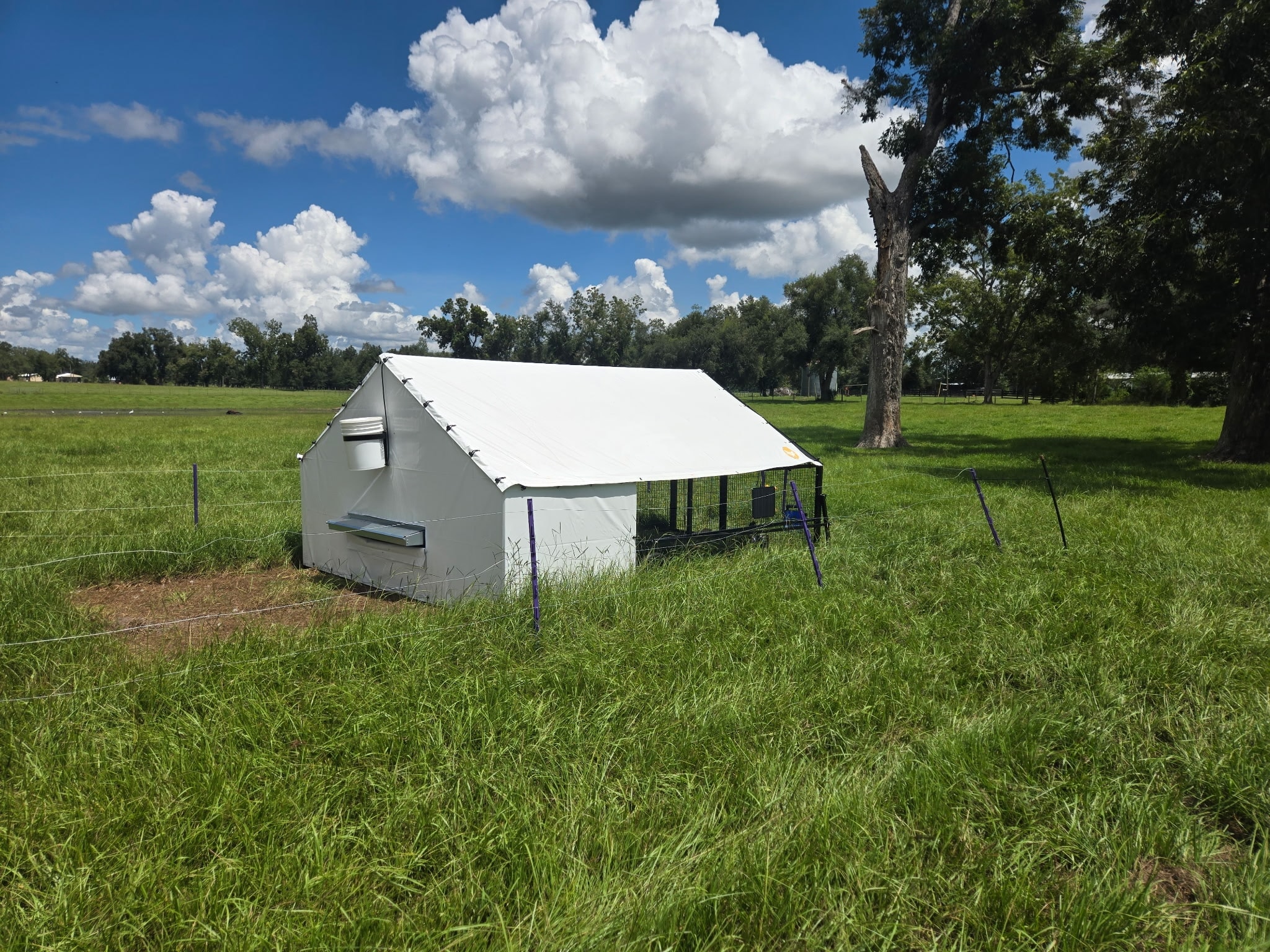 Portable livestock shelter in green pasture under blue sky
