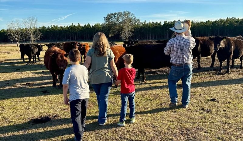 Sampson family herding cattle on the ranch