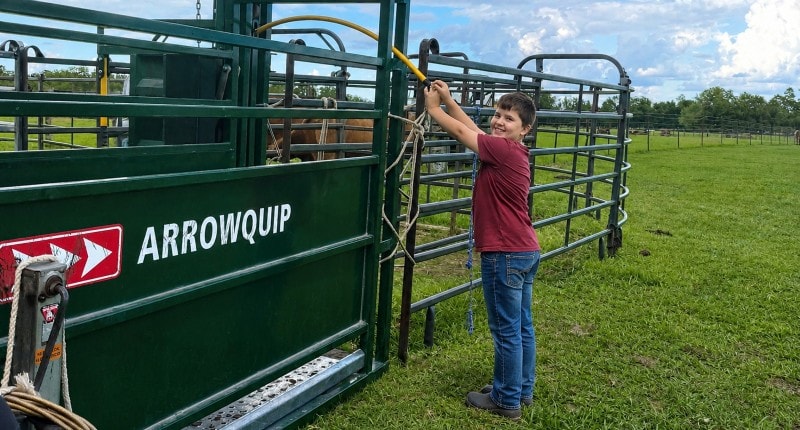 Will loading a horse into the trailer